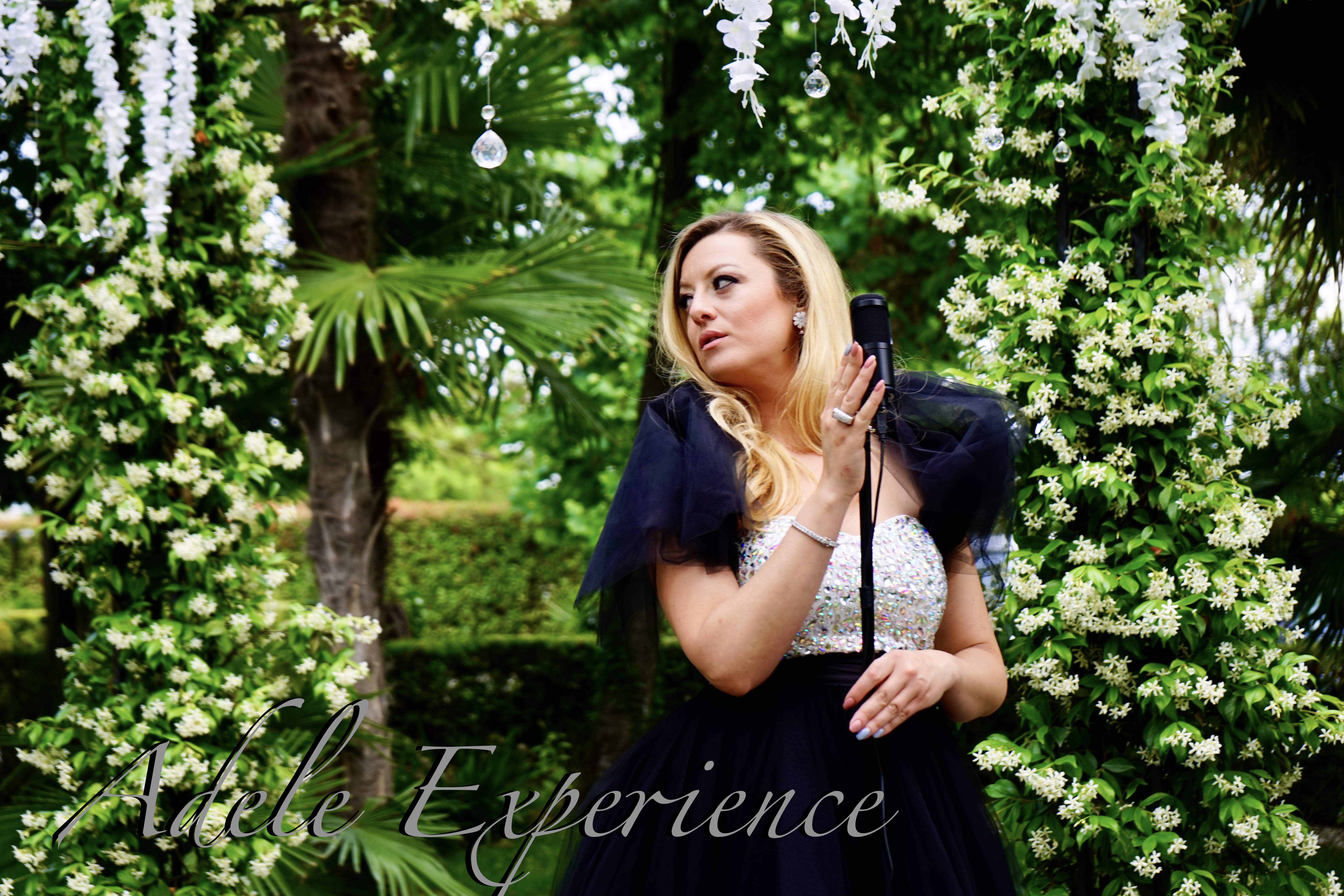 Adele Experience<p>06.07.2025